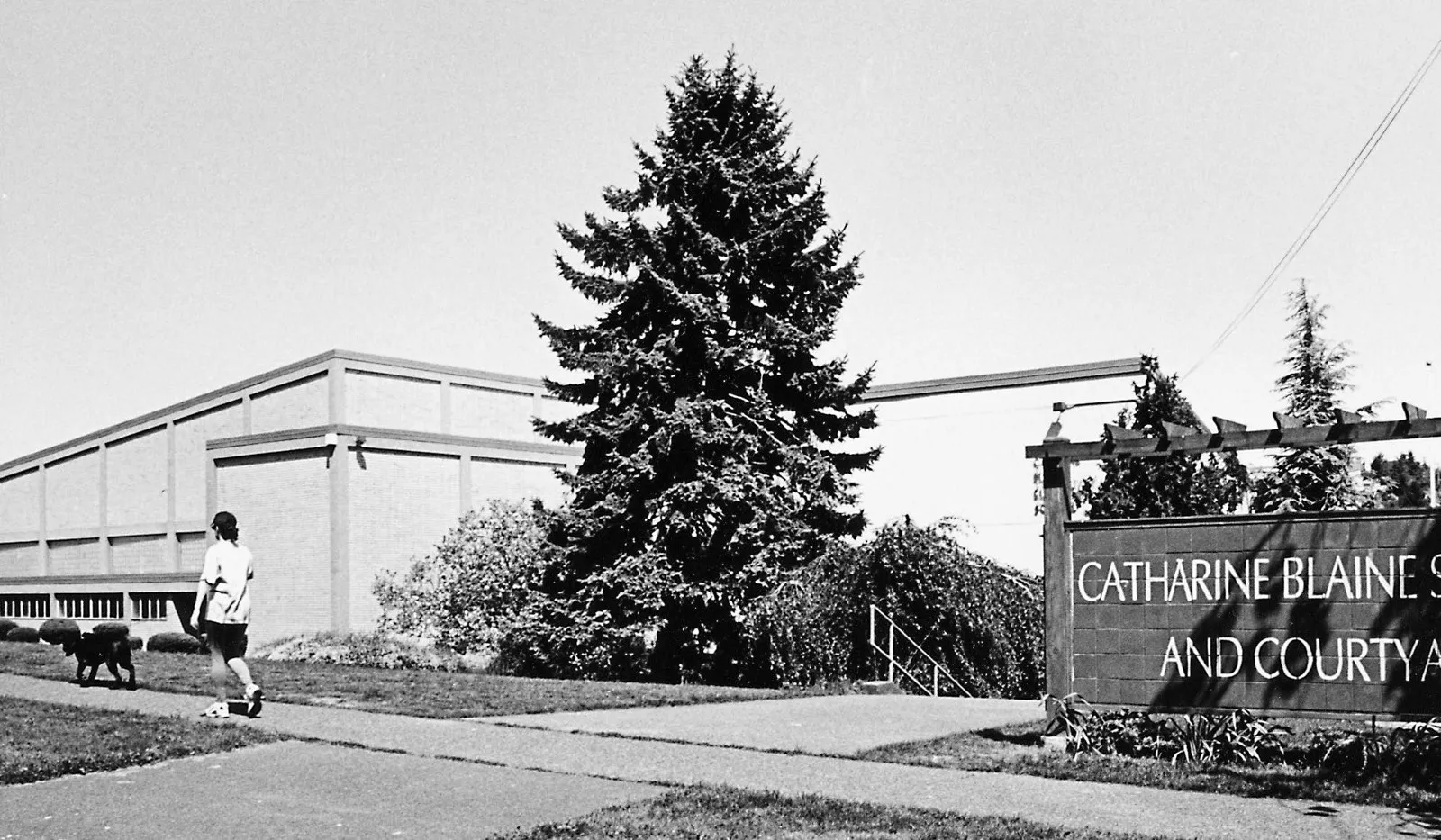 Catharine Blaine K-8, photographed 2000